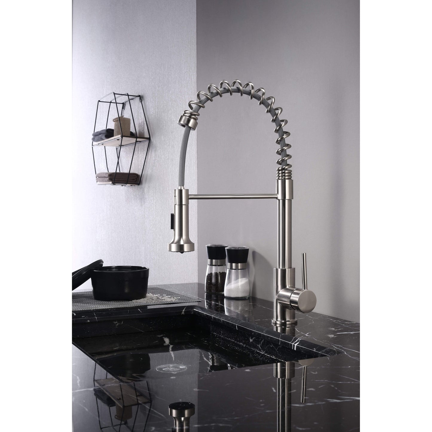 Lexora Faucet Chrome Lanuvio Brass Kitchen Faucet w/ Pull Out Sprayer Brushed Nickle