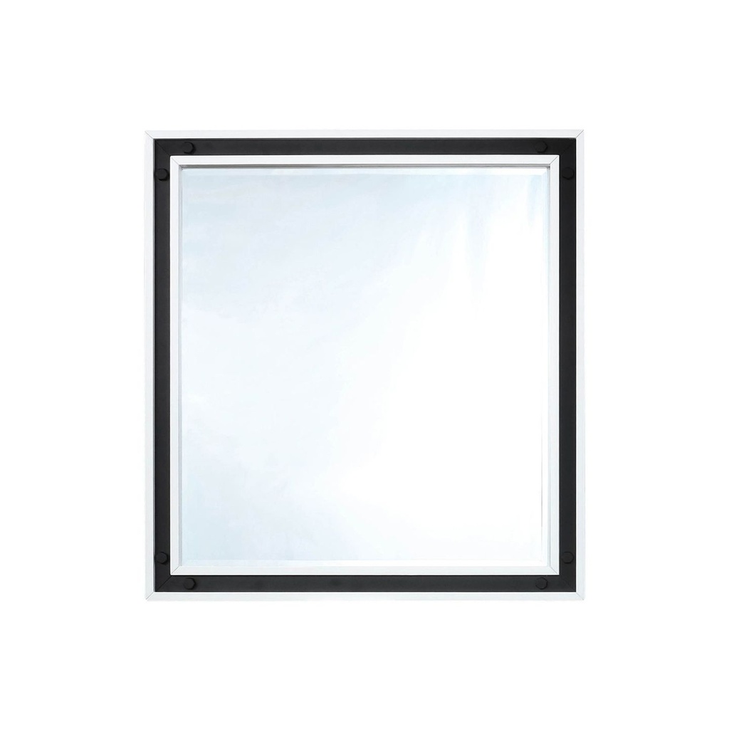 Ziva 34 in W x 32 in H White Mirror with Black Metal Inlay
