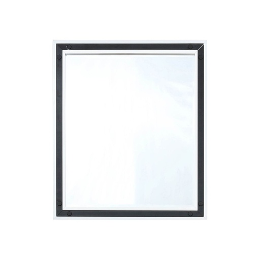 [LZV2832WHM] Ziva 28 in W x 32 in H White Mirror with Black Metal Inlay